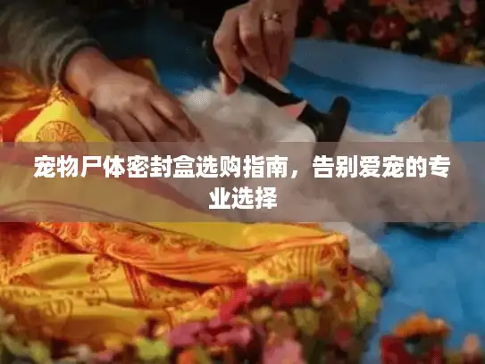 宠物尸体密封盒选购指南，告别爱宠的专业选择