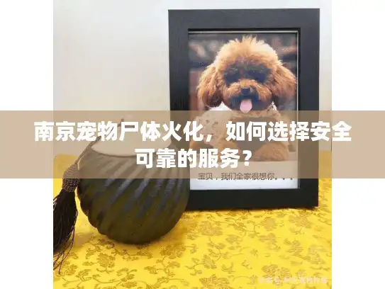 南京宠物尸体火化，如何选择安全可靠的服务？