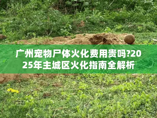 广州宠物尸体火化费用贵吗?2025年主城区火化指南全解析
