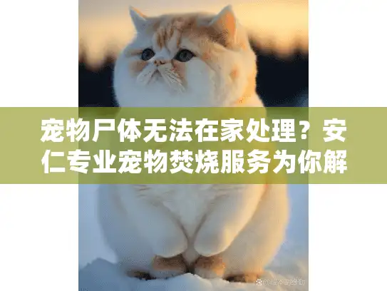 宠物尸体无法在家处理？安仁专业宠物焚烧服务为你解决烦恼