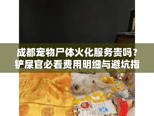 成都宠物尸体火化服务贵吗？铲屎官必看费用明细与避坑指南