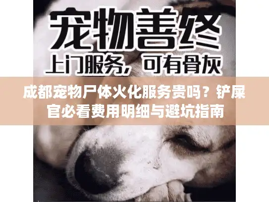 成都宠物尸体火化服务贵吗？铲屎官必看费用明细与避坑指南