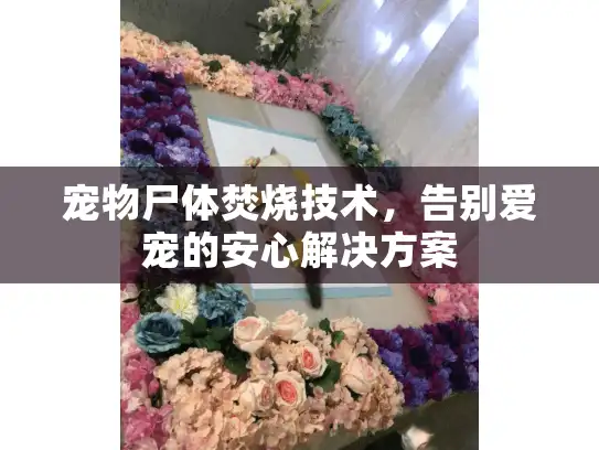 宠物尸体焚烧技术，告别爱宠的安心解决方案