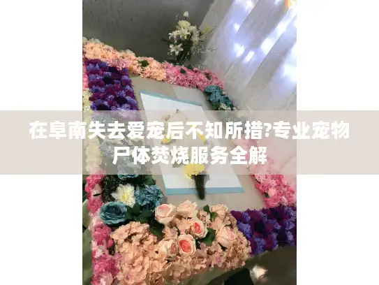 在阜南失去爱宠后不知所措?专业宠物尸体焚烧服务全解