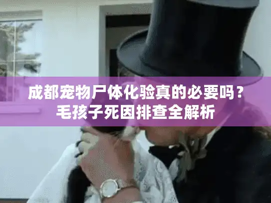 成都宠物尸体化验真的必要吗？毛孩子死因排查全解析