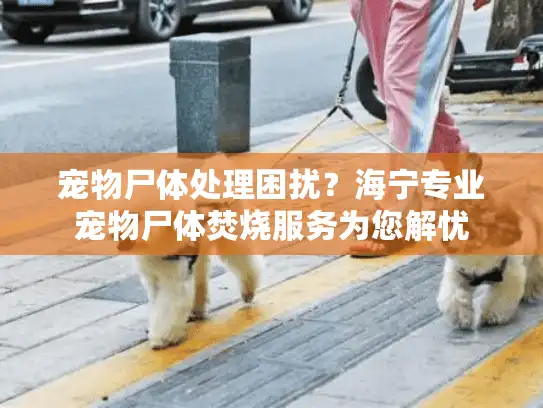宠物尸体处理困扰？海宁专业宠物尸体焚烧服务为您解忧