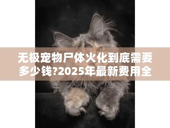 无极宠物尸体火化到底需要多少钱?2025年最新费用全解析