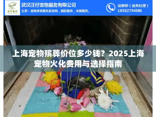 上海宠物殡葬价位多少钱？2025上海宠物火化费用与选择指南