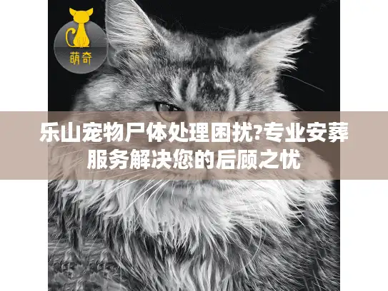 乐山宠物尸体处理困扰?专业安葬服务解决您的后顾之忧