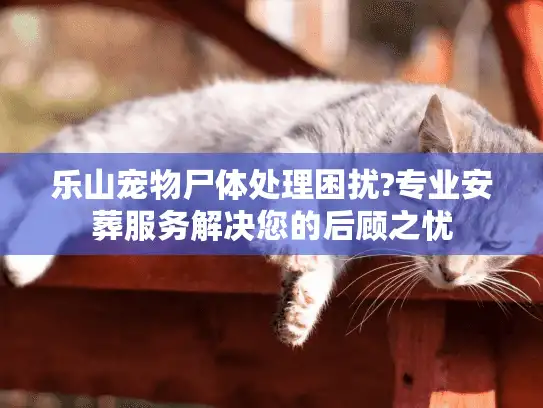 乐山宠物尸体处理困扰?专业安葬服务解决您的后顾之忧
