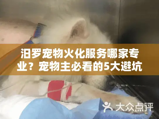 汨罗宠物火化服务哪家专业？宠物主必看的5大避坑指南