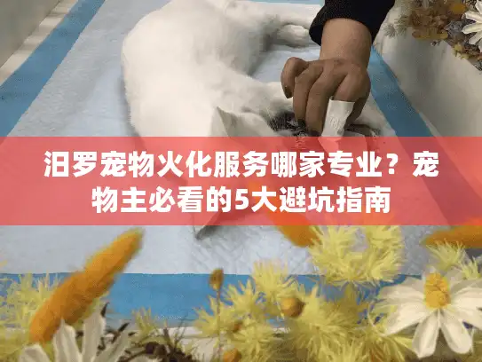 汨罗宠物火化服务哪家专业？宠物主必看的5大避坑指南