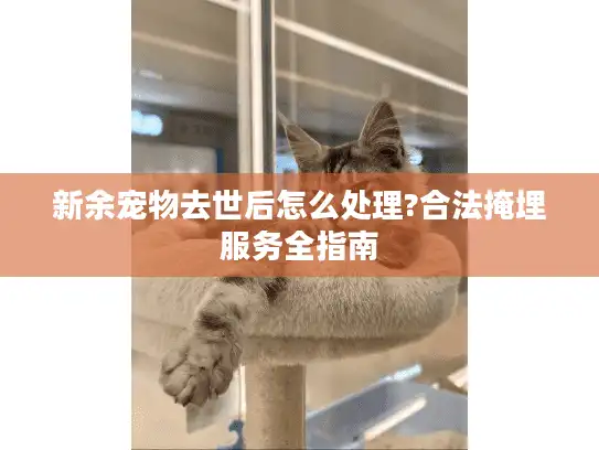 新余宠物去世后怎么处理?合法掩埋服务全指南
