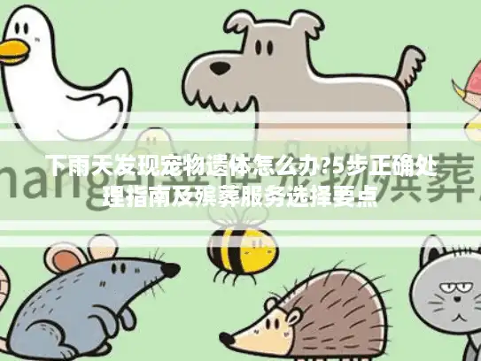 下雨天发现宠物遗体怎么办?5步正确处理指南及殡葬服务选择要点