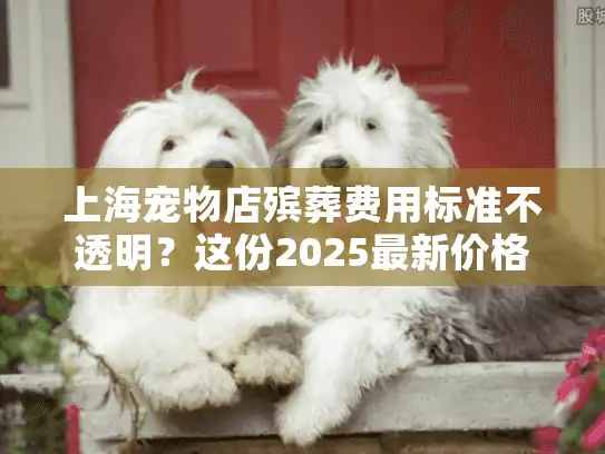 上海宠物店殡葬费用标准不透明？这份2025最新价格参考帮您避坑