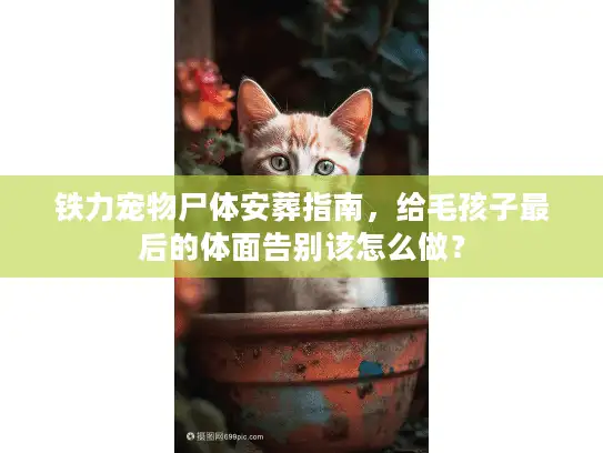 铁力宠物尸体安葬指南，给毛孩子最后的体面告别该怎么做？