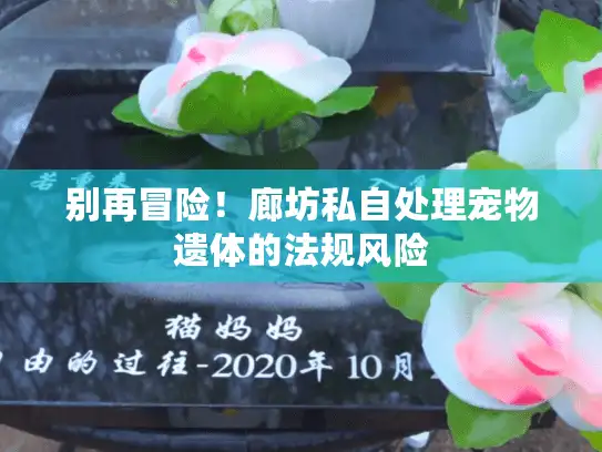 别再冒险！廊坊私自处理宠物遗体的法规风险
