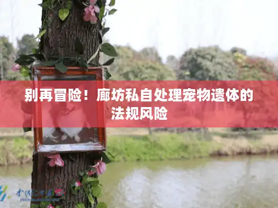 别再冒险！廊坊私自处理宠物遗体的法规风险