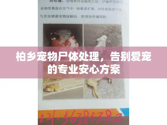 柏乡宠物尸体处理，告别爱宠的专业安心方案