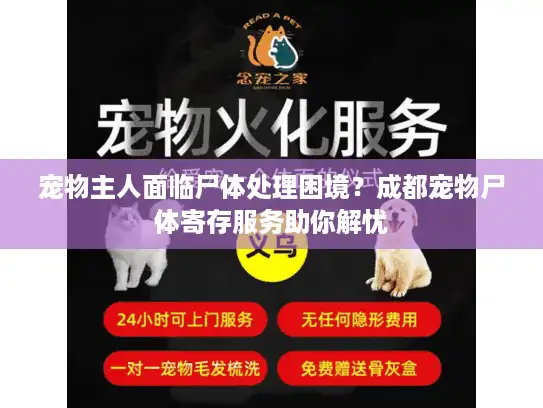 宠物主人面临尸体处理困境？成都宠物尸体寄存服务助你解忧