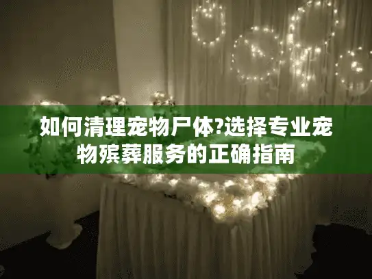 如何清理宠物尸体?选择专业宠物殡葬服务的正确指南