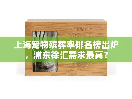 上海宠物殡葬率排名榜出炉，浦东徐汇需求最高？