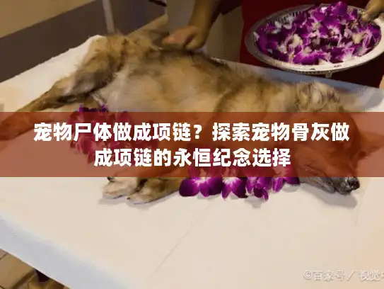 宠物尸体做成项链？探索宠物骨灰做成项链的永恒纪念选择