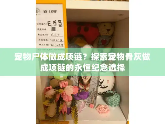 宠物尸体做成项链？探索宠物骨灰做成项链的永恒纪念选择