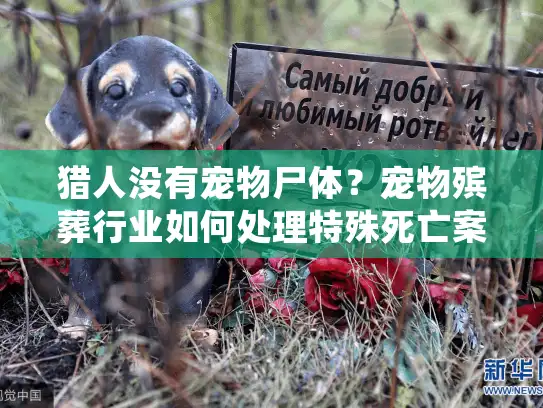 猎人没有宠物尸体？宠物殡葬行业如何处理特殊死亡案例