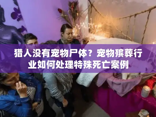猎人没有宠物尸体？宠物殡葬行业如何处理特殊死亡案例