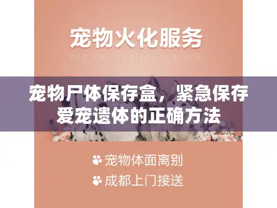 宠物尸体保存盒，紧急保存爱宠遗体的正确方法
