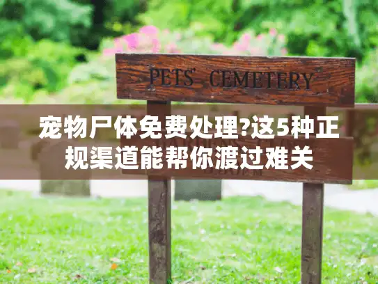 宠物尸体免费处理?这5种正规渠道能帮你渡过难关