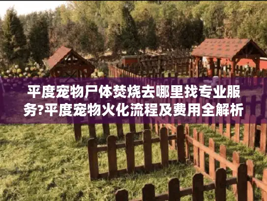 平度宠物尸体焚烧去哪里找专业服务?平度宠物火化流程及费用全解析