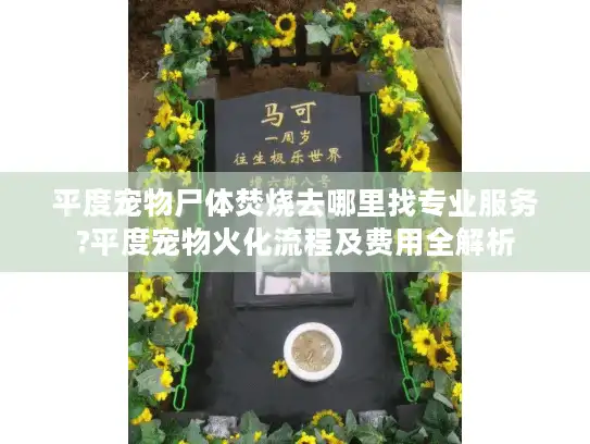 平度宠物尸体焚烧去哪里找专业服务?平度宠物火化流程及费用全解析