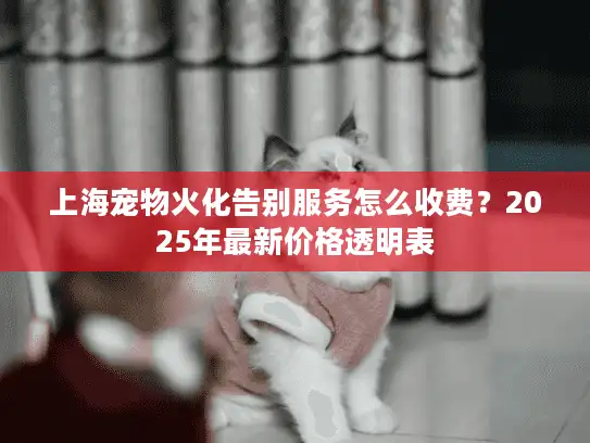 上海宠物火化告别服务怎么收费？2025年最新价格透明表