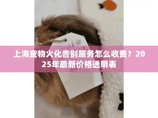 上海宠物火化告别服务怎么收费？2025年最新价格透明表