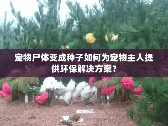 宠物尸体变成种子如何为宠物主人提供环保解决方案？
