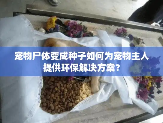 宠物尸体变成种子如何为宠物主人提供环保解决方案？