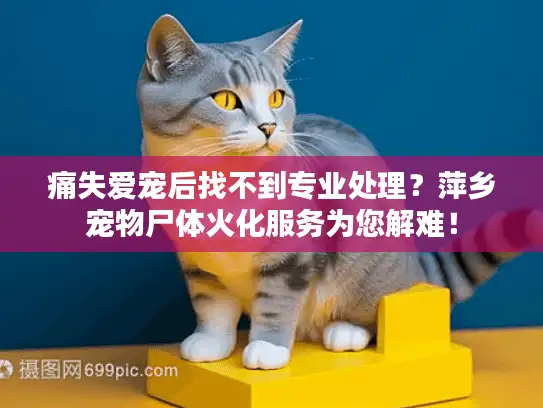 痛失爱宠后找不到专业处理？萍乡宠物尸体火化服务为您解难！