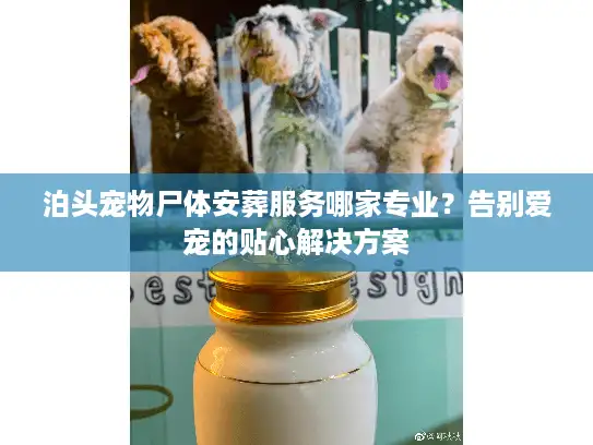 泊头宠物尸体安葬服务哪家专业？告别爱宠的贴心解决方案