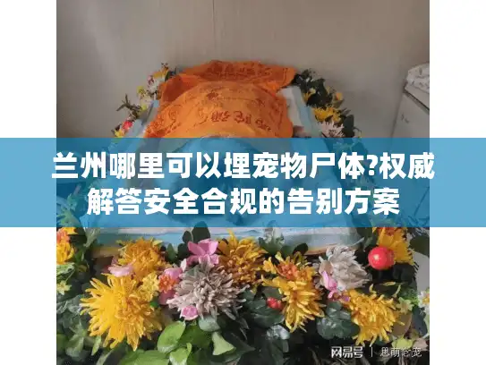 兰州哪里可以埋宠物尸体?权威解答安全合规的告别方案