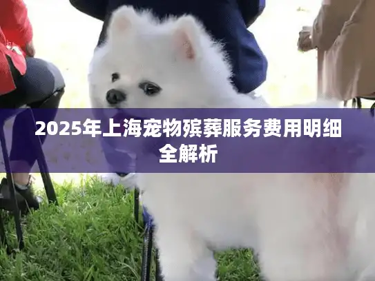 2025年上海宠物殡葬服务费用明细全解析