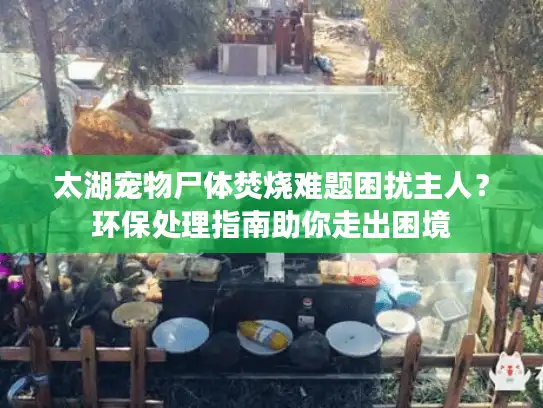 太湖宠物尸体焚烧难题困扰主人？环保处理指南助你走出困境