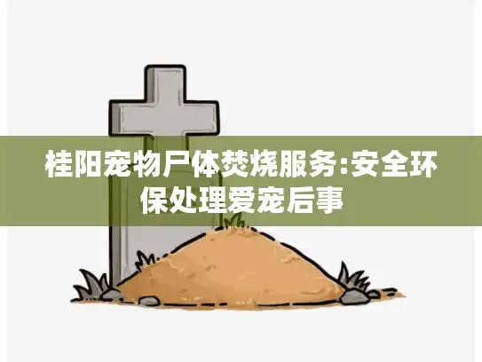 桂阳宠物尸体焚烧服务:安全环保处理爱宠后事