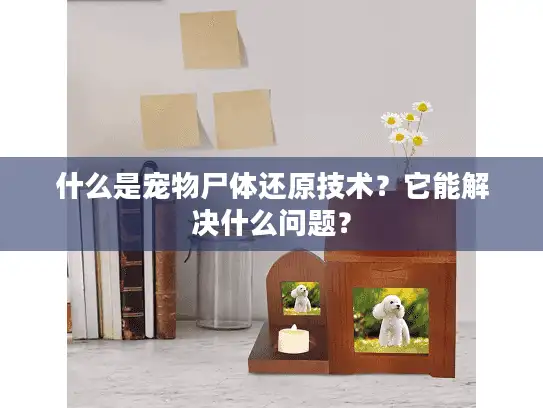 什么是宠物尸体还原技术？它能解决什么问题？