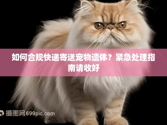 如何合规快递寄送宠物遗体？紧急处理指南请收好
