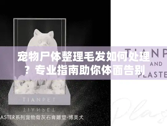 宠物尸体整理毛发如何处理？专业指南助你体面告别