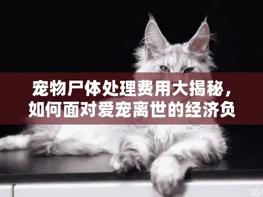 宠物尸体处理费用大揭秘，如何面对爱宠离世的经济负担？
