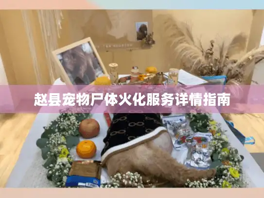 赵县宠物尸体火化服务详情指南