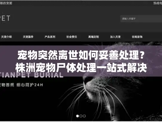 宠物突然离世如何妥善处理？株洲宠物尸体处理一站式解决方案指南